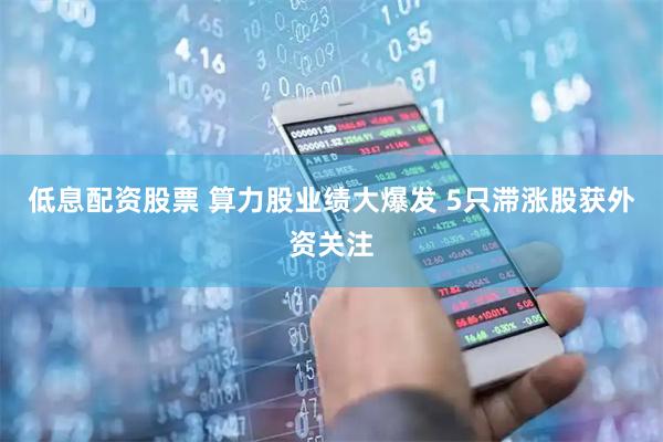 低息配资股票 算力股业绩大爆发 5只滞涨股获外资关注