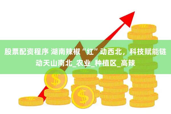 股票配资程序 湖南辣椒“红”动西北，科技赋能链动天山南北_农业_种植区_高辣