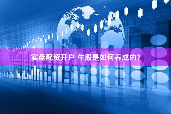 实盘配资开户 牛股是如何养成的？