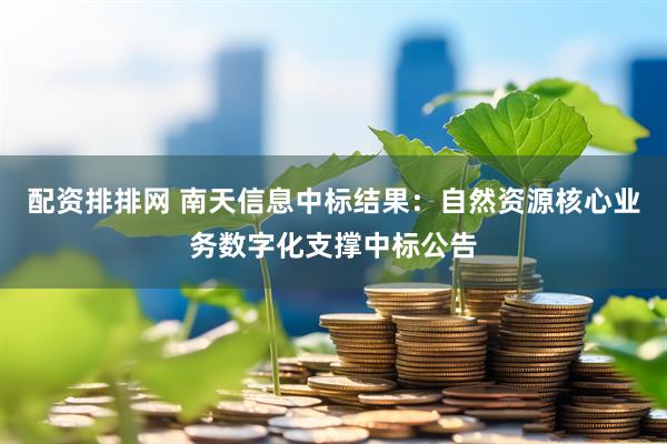 配资排排网 南天信息中标结果：自然资源核心业务数字化支撑中标公告
