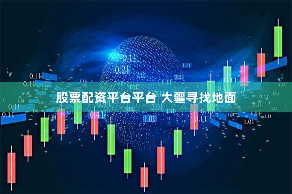 股票配资平台平台 大疆寻找地面