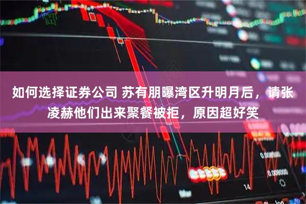 如何选择证券公司 苏有朋曝湾区升明月后,请张凌赫他们出来聚餐被拒,原因超好笑